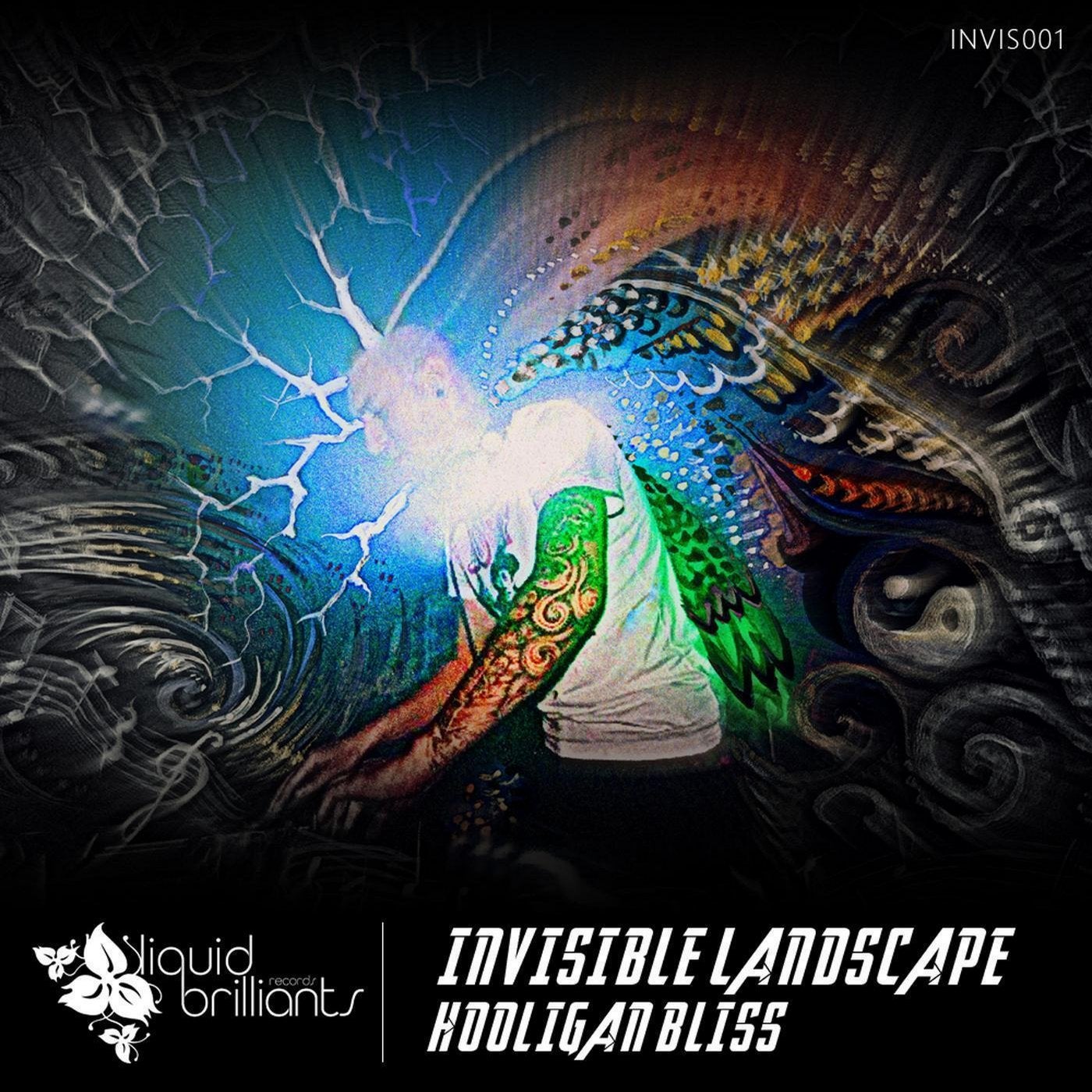 Cover art for Hooligan Bliss