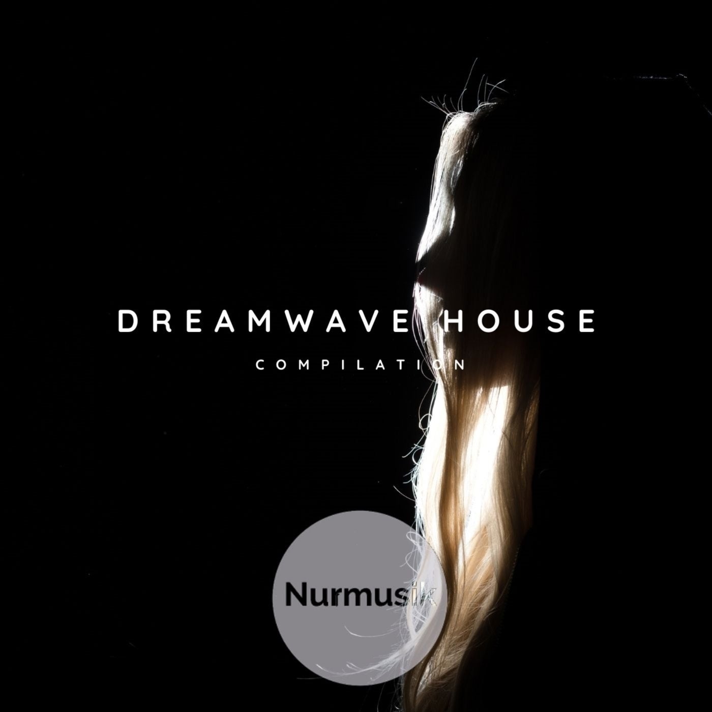 Dreamwave House