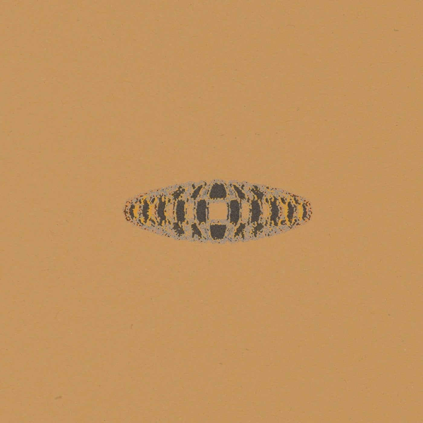 In Currents