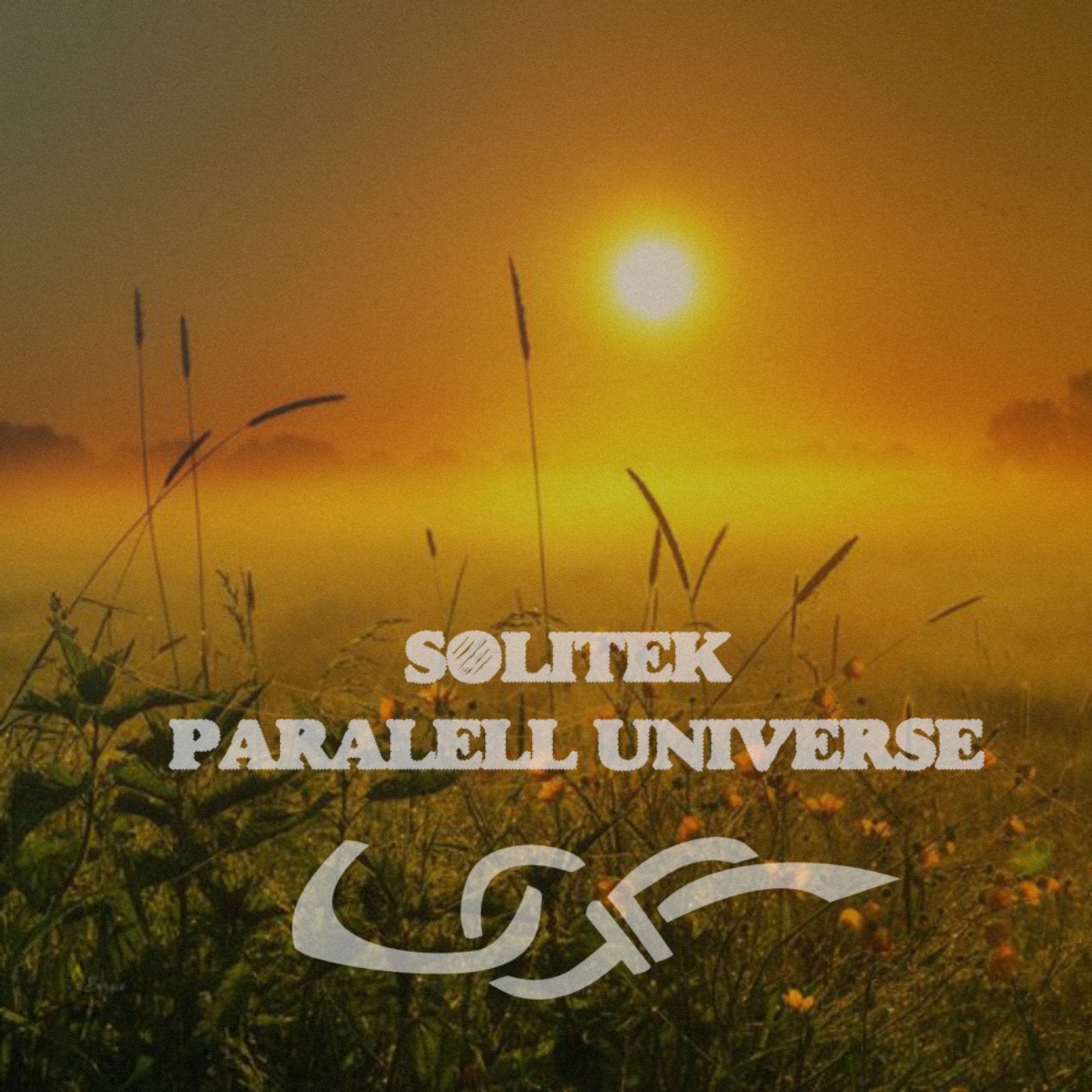Paralell Universe