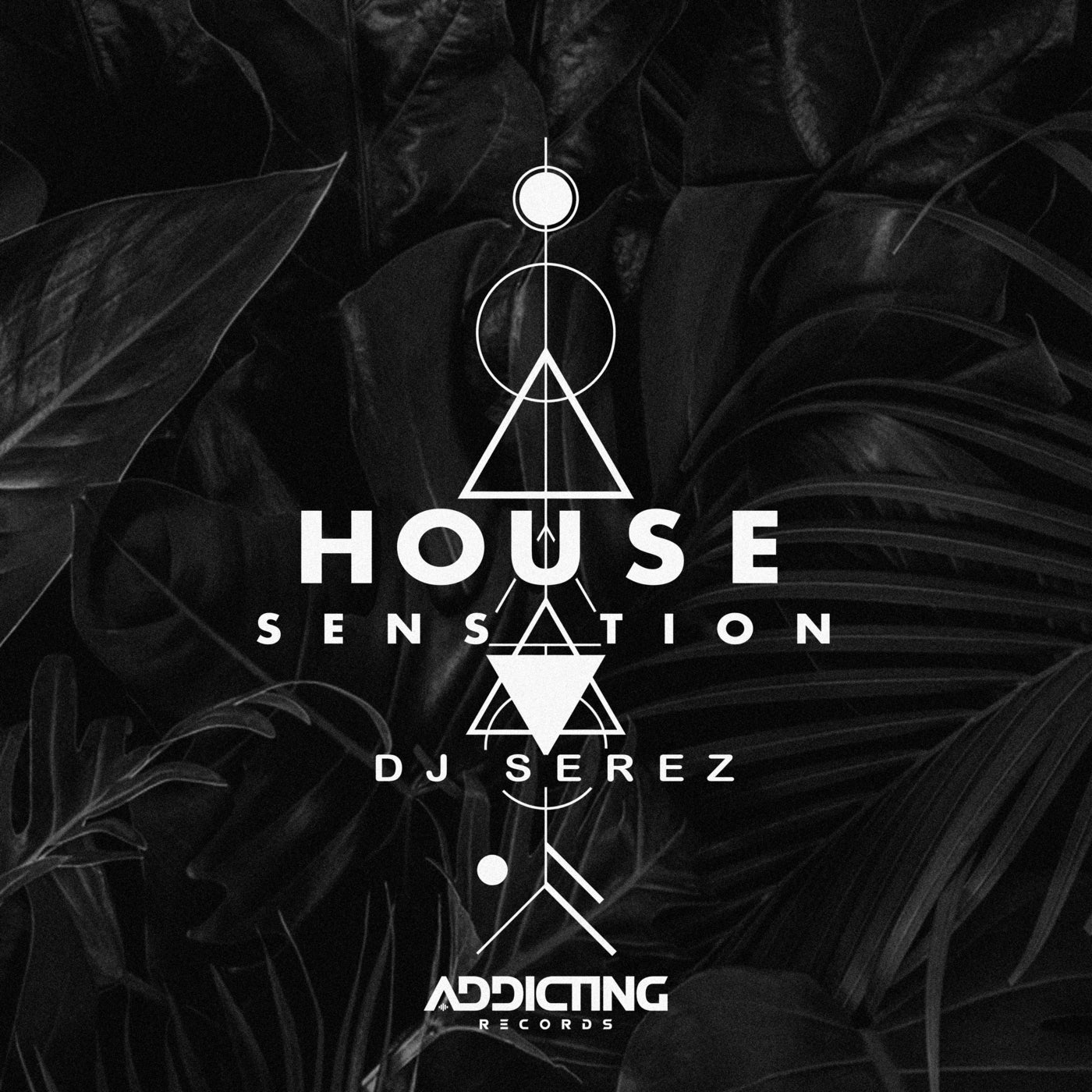 House Sensation