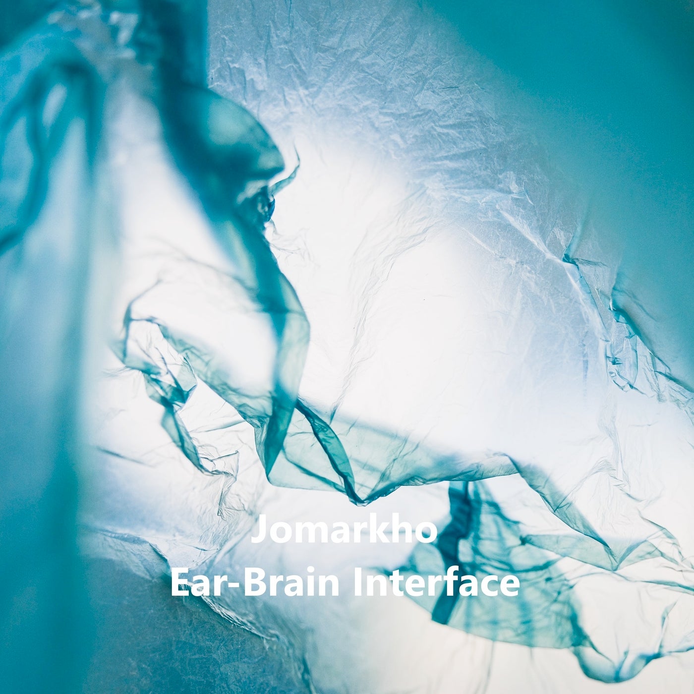 Ear-Brain Interface