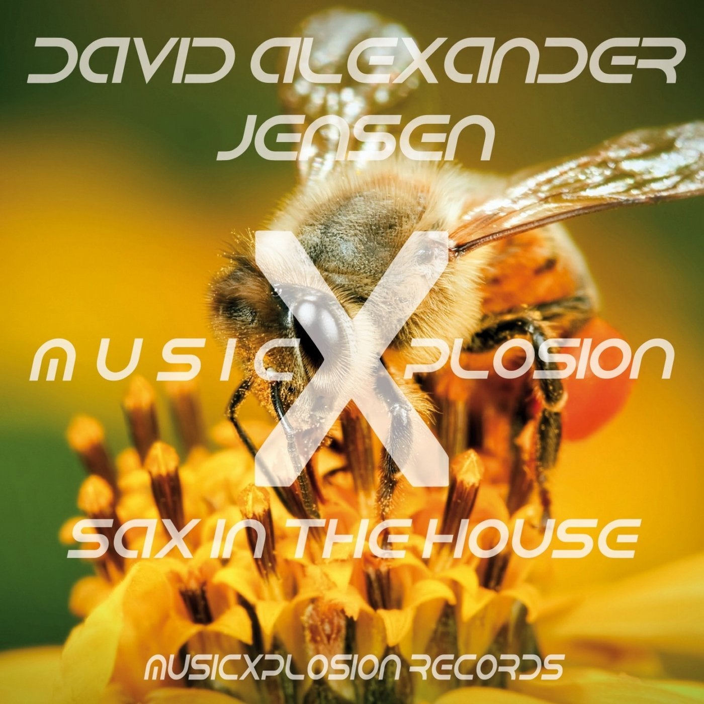 Sax in the House