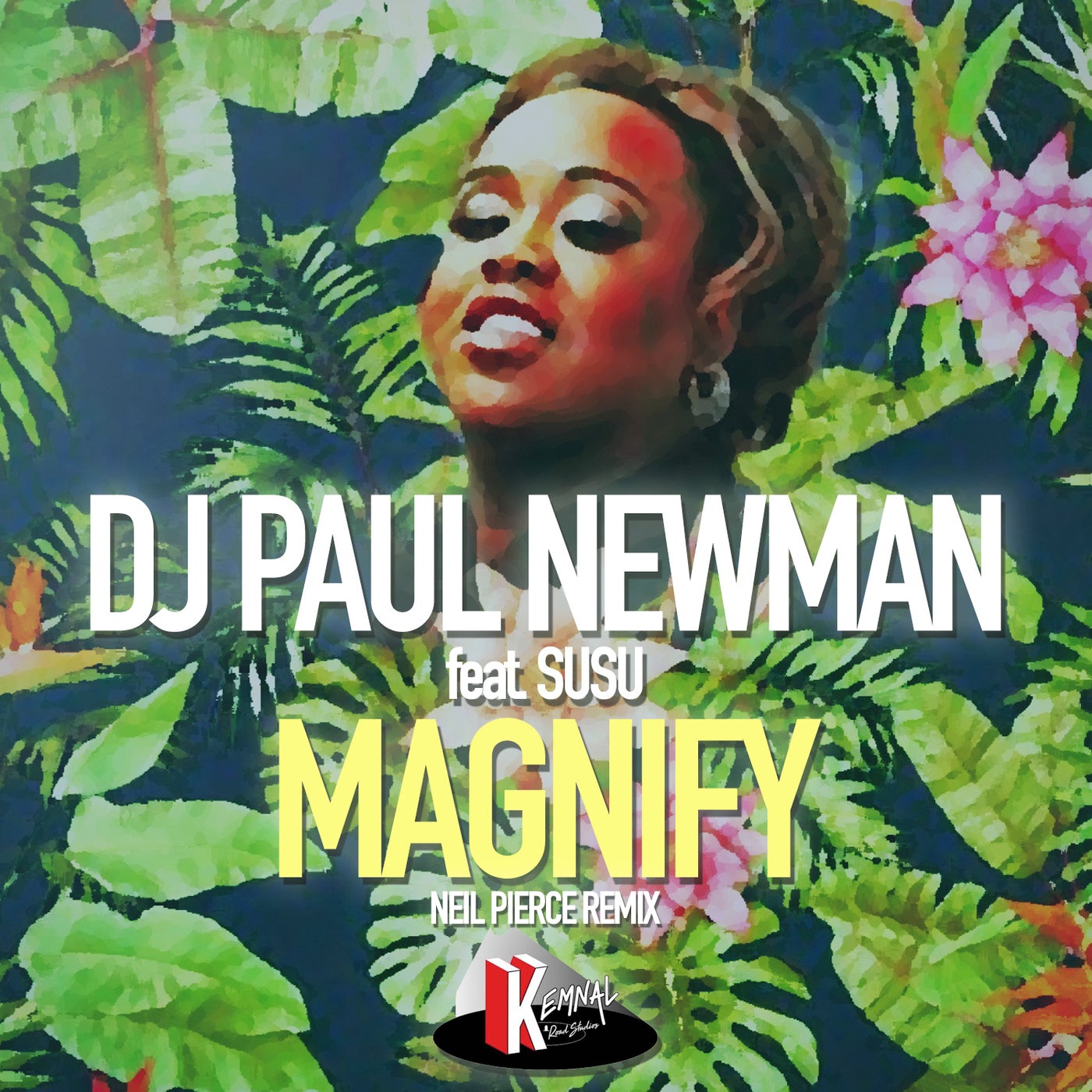 Magnify (Neil Pierce Remix)