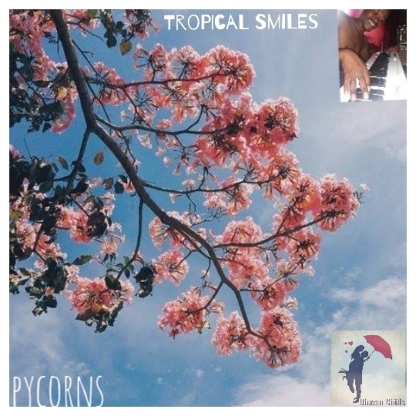 Tropical Smiles (Tropical house)