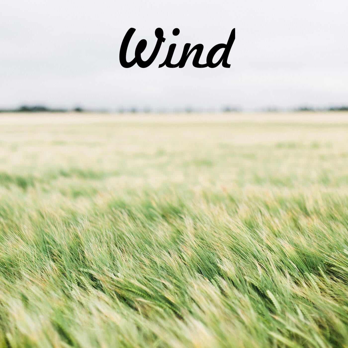 Wind