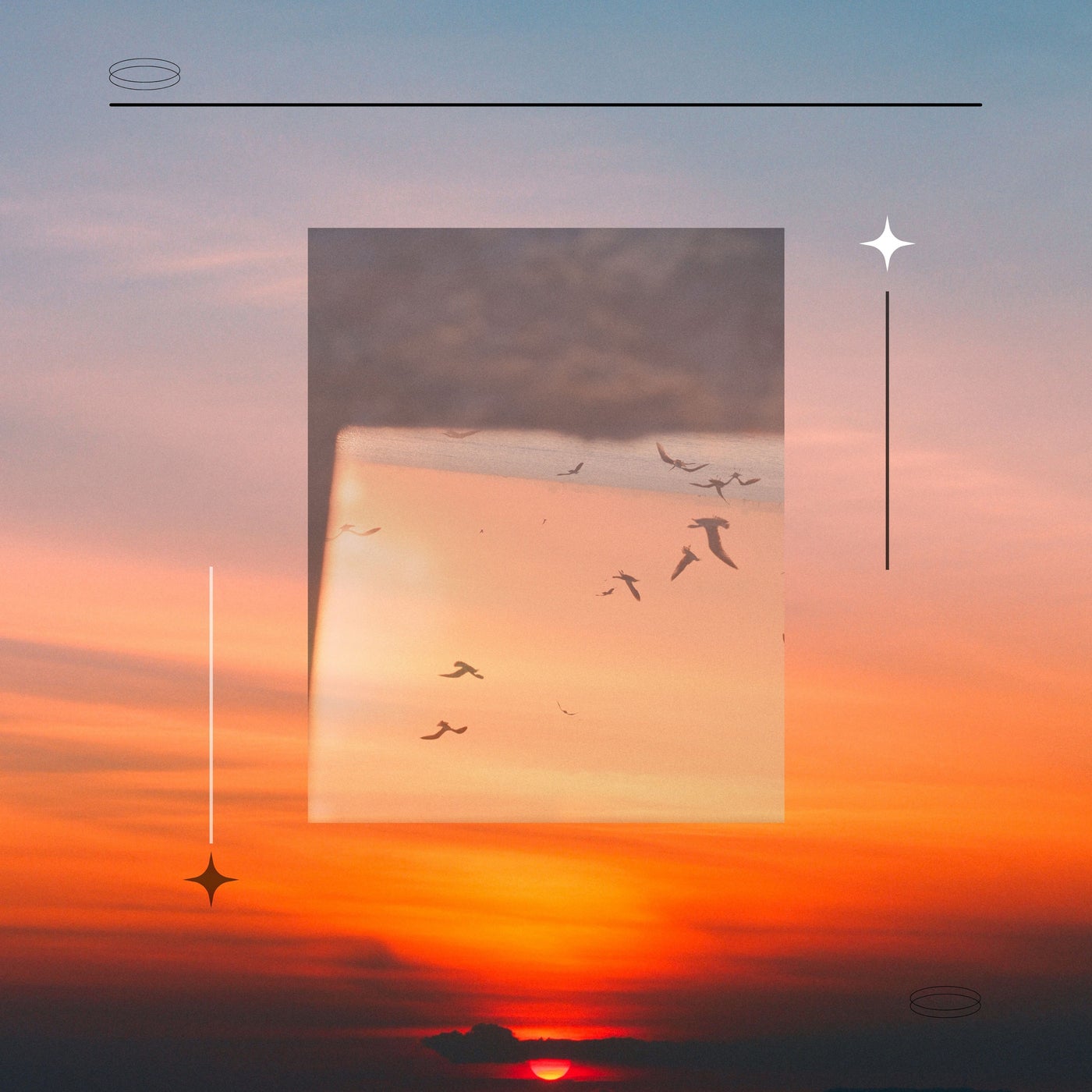 Cloud Forest / Solar Child