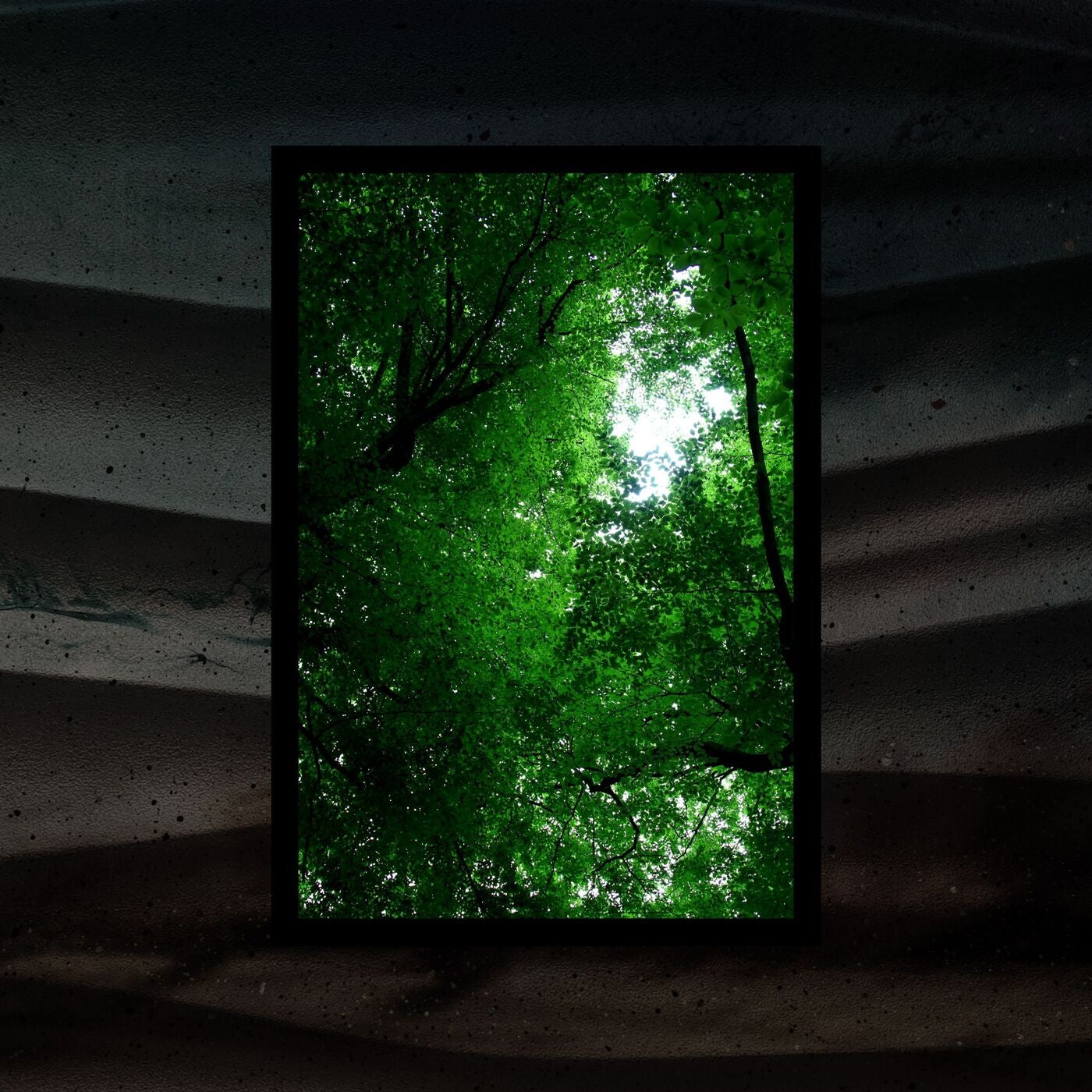 Under The Branches
