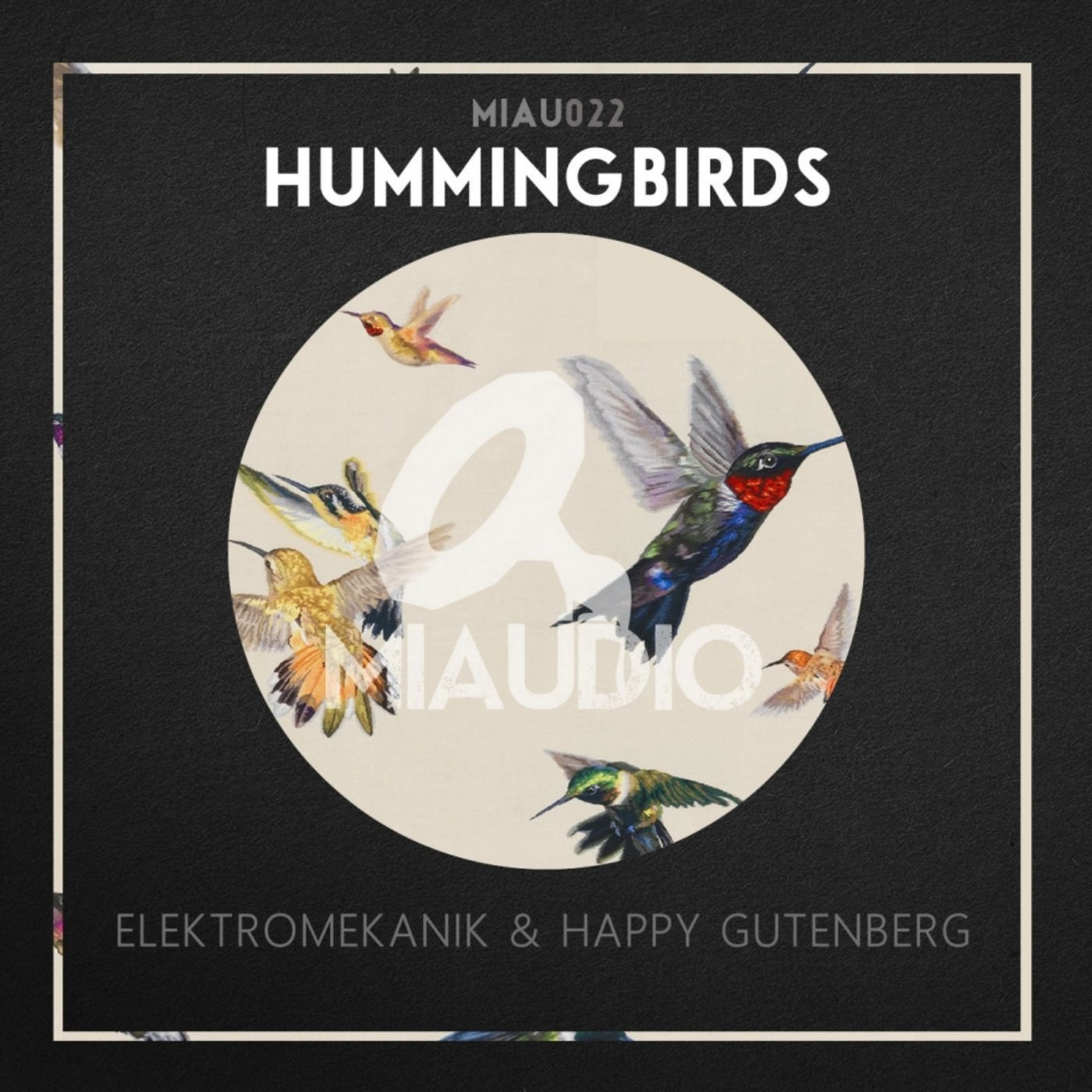 Hummingbirds