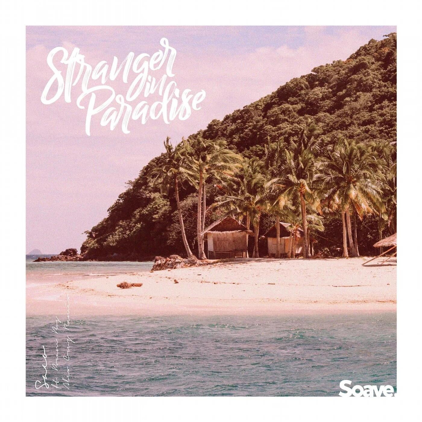 Stranger In Paradise (Alex Cruz Remix)