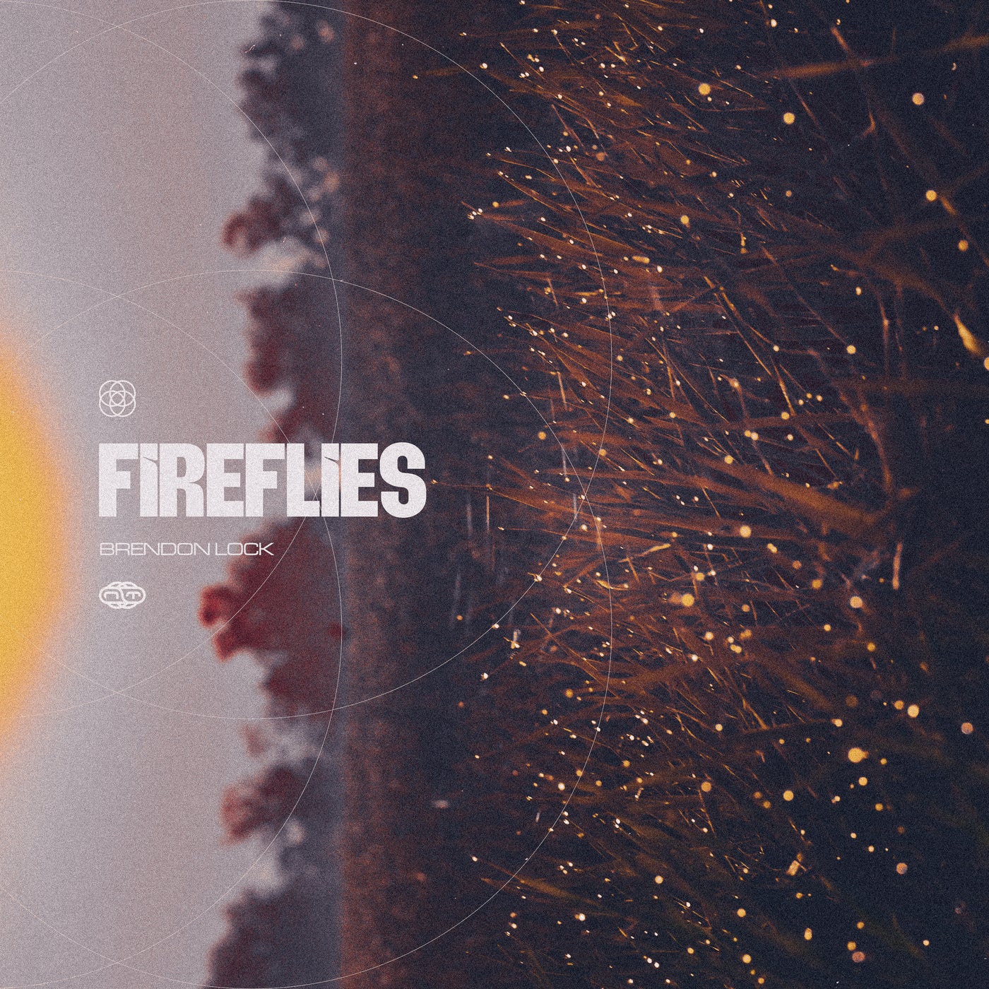 Fireflies