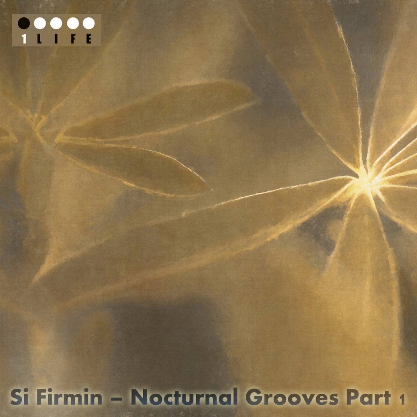 Nocturnal Grooves, Pt. 1