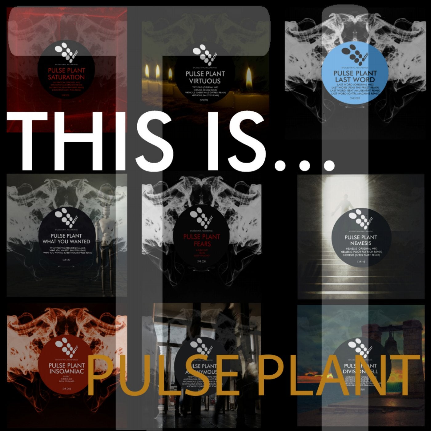 This Is...Pulse Plant