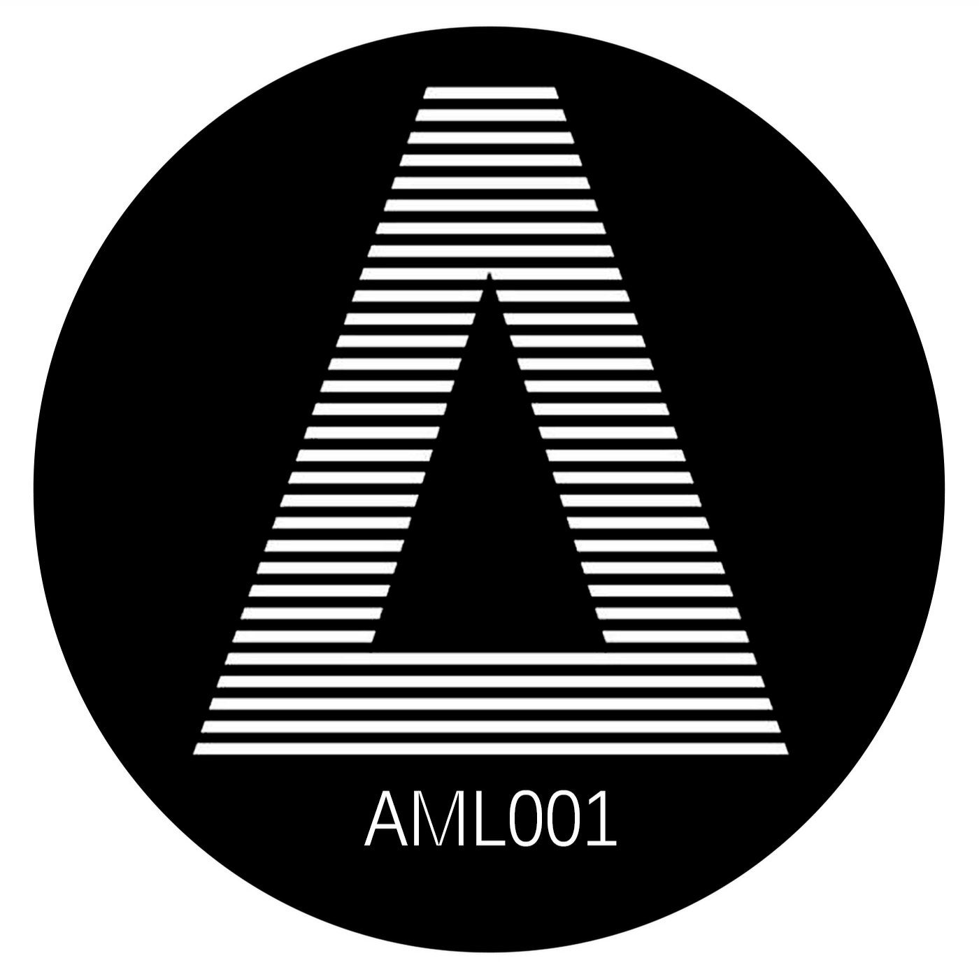 T2