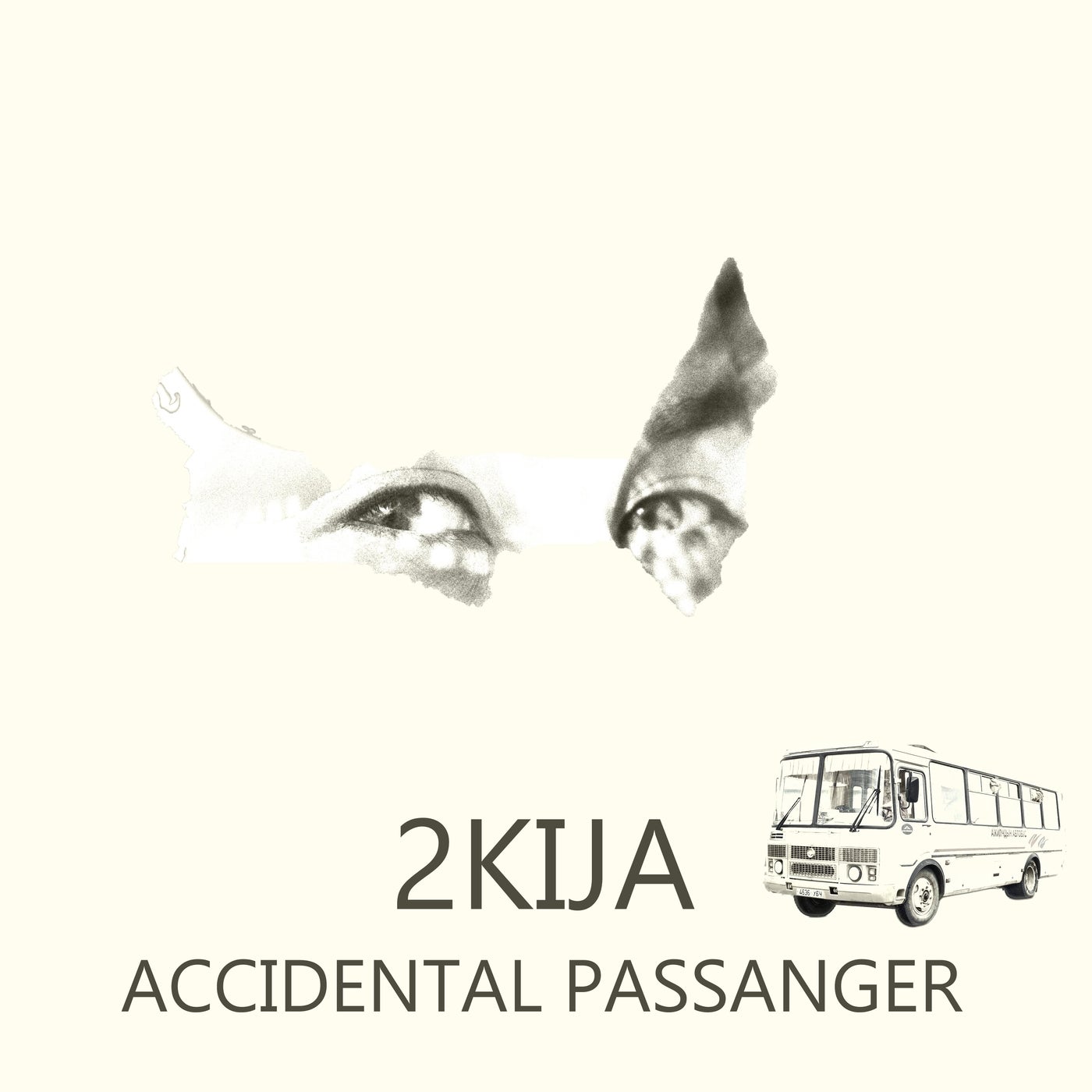 Accidental Passenger