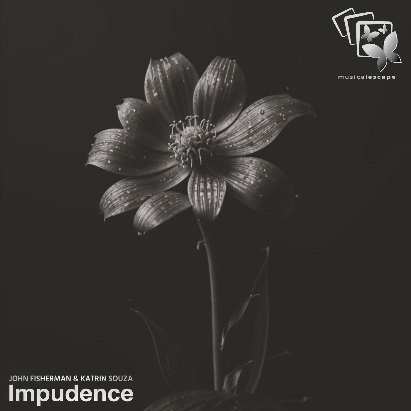 Impudence