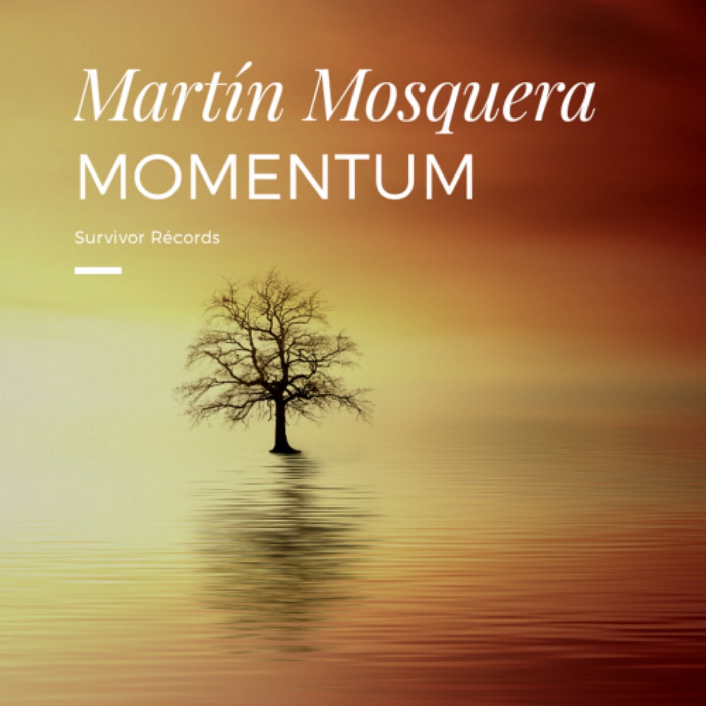 Momentum