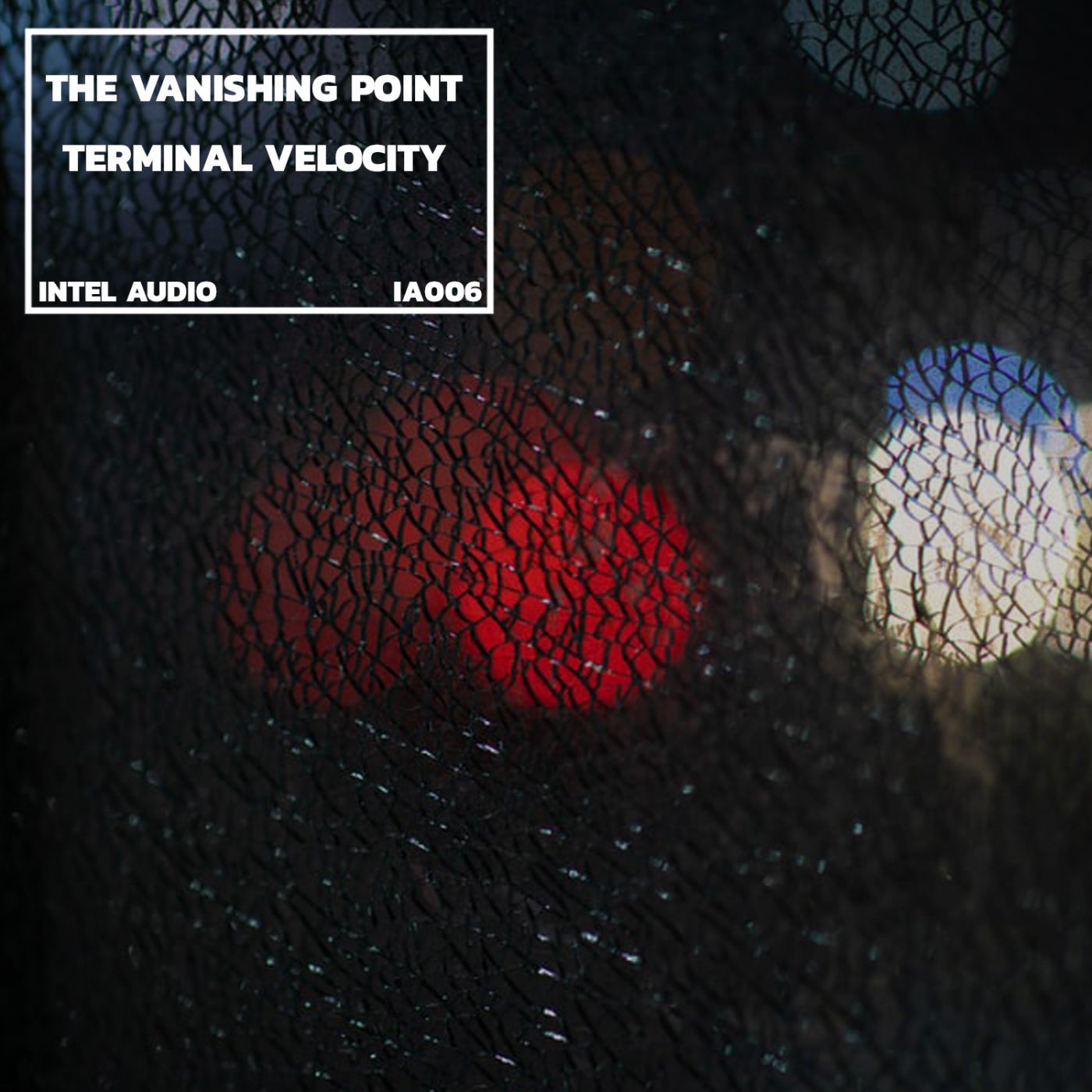 Terminal Velocity