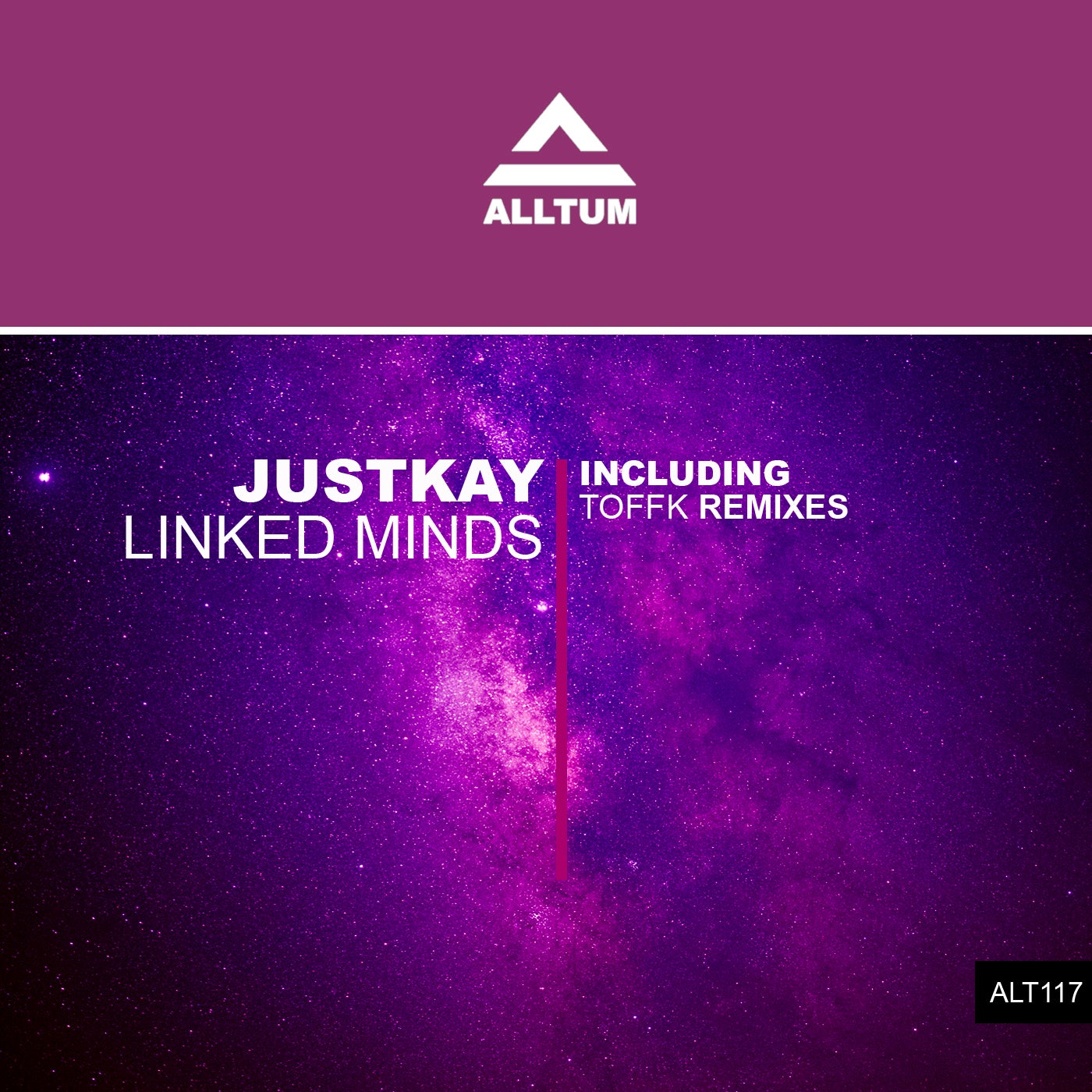 Cover art for Linked Minds