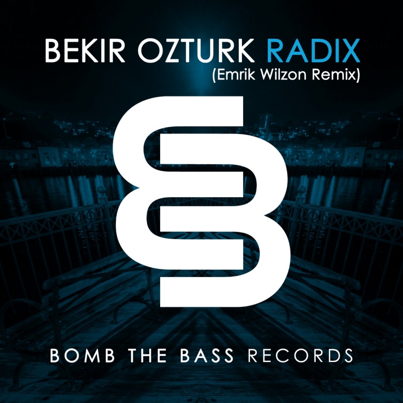 Radix (Emrik Wilzon Remix)