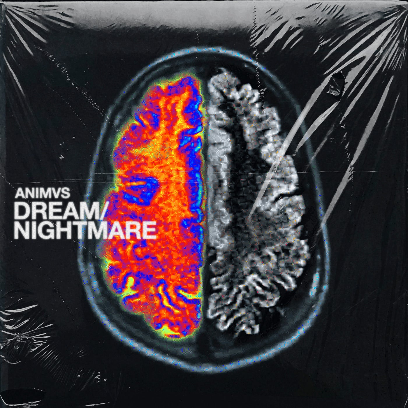 Dream / Nightmare
