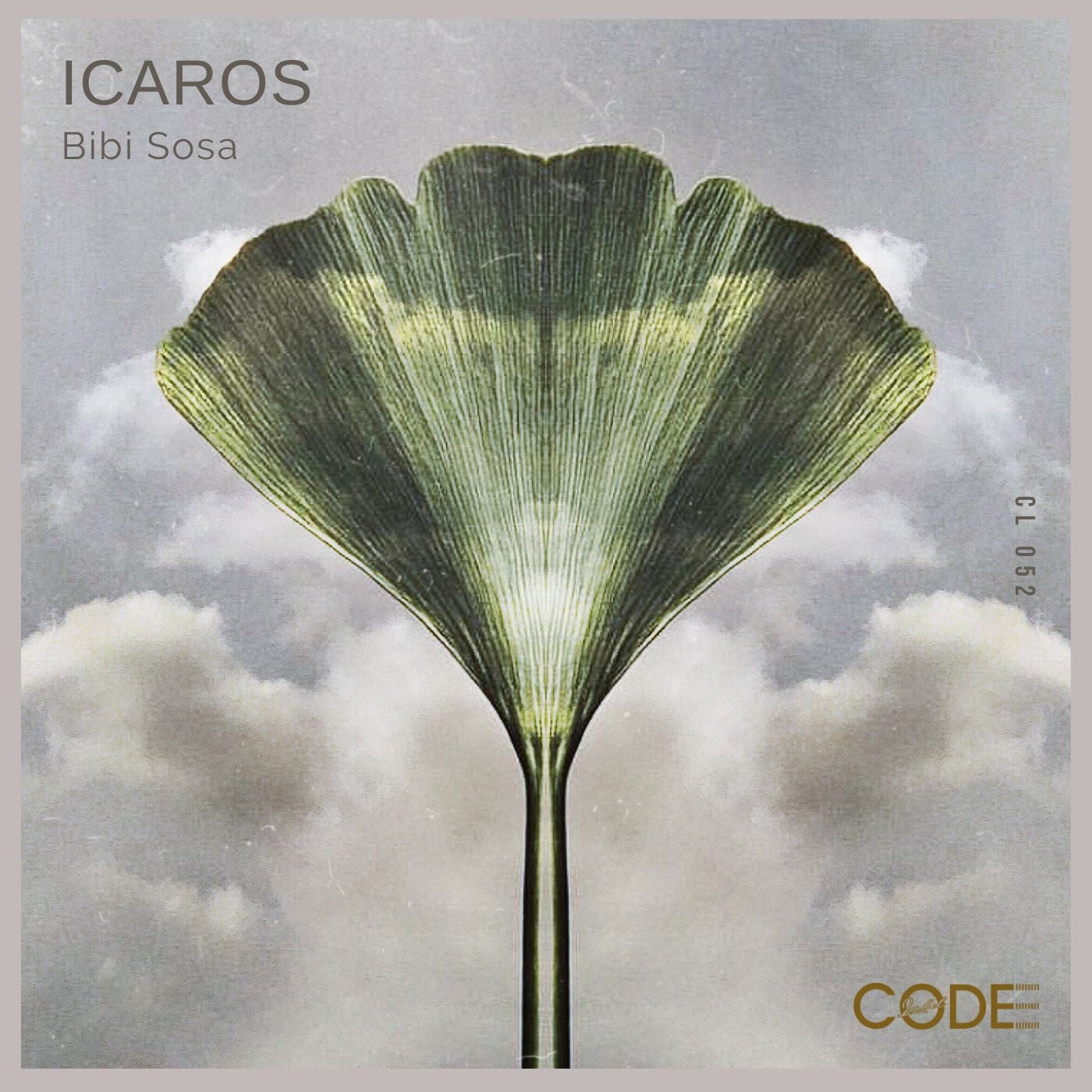Icaros