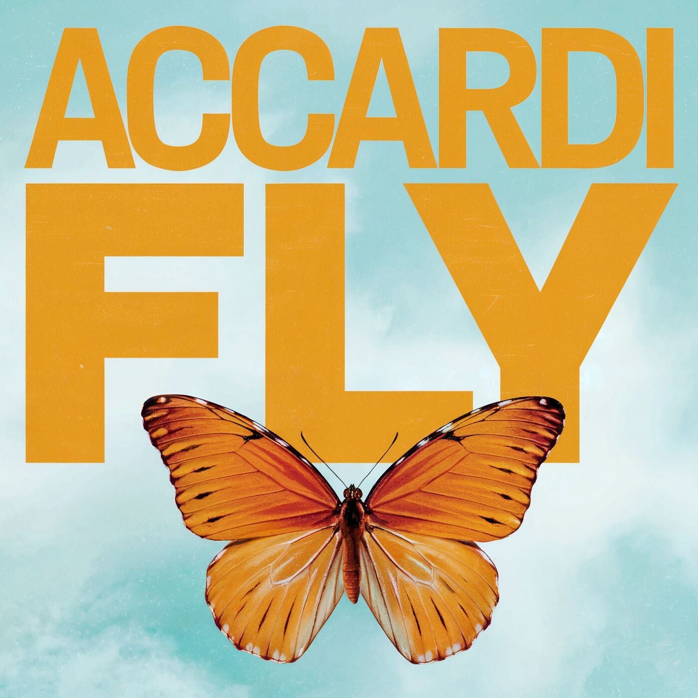 Fly