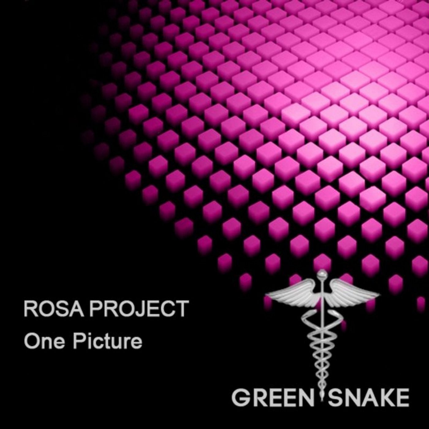 Rosa project