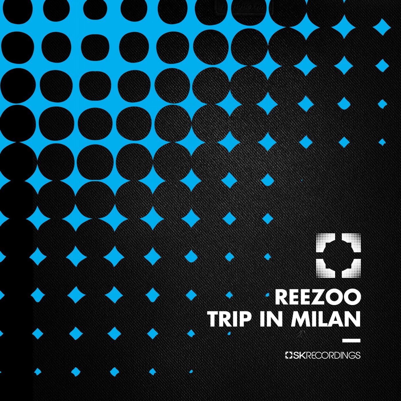 Trip In Milan