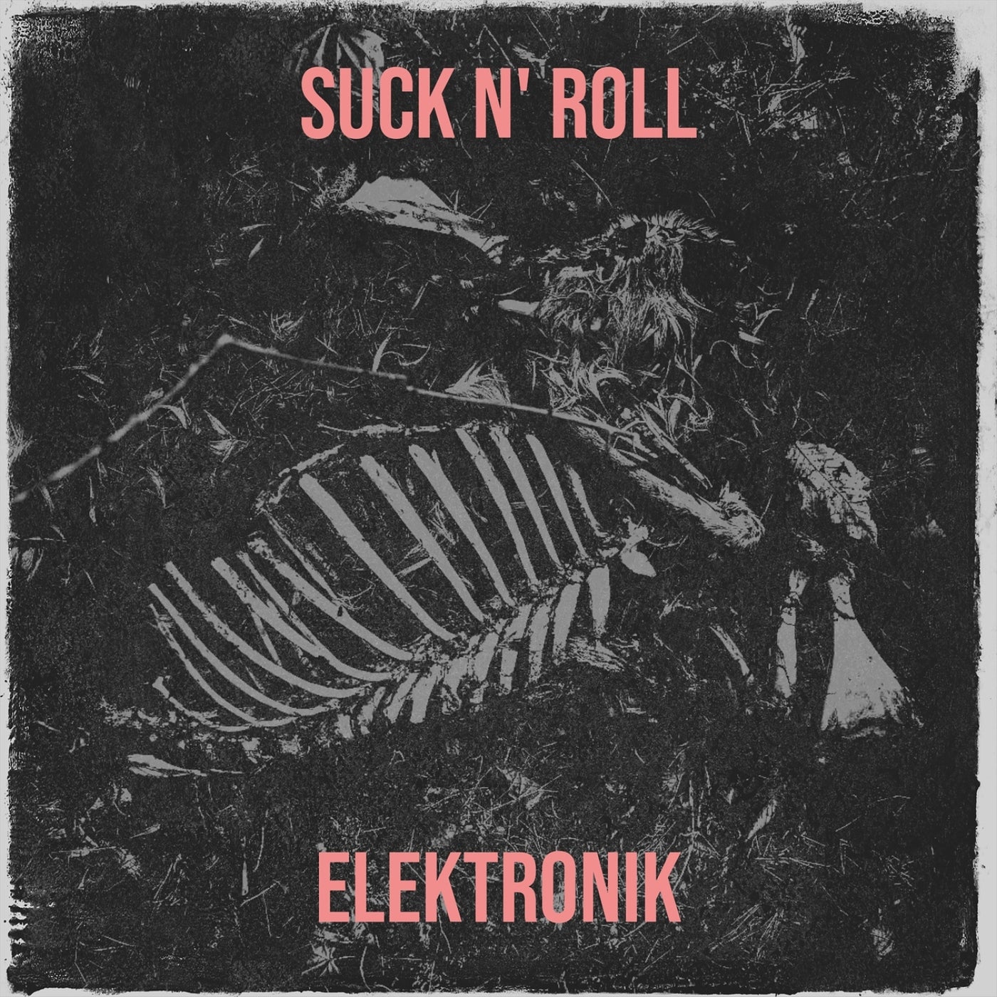 Suck n' roll