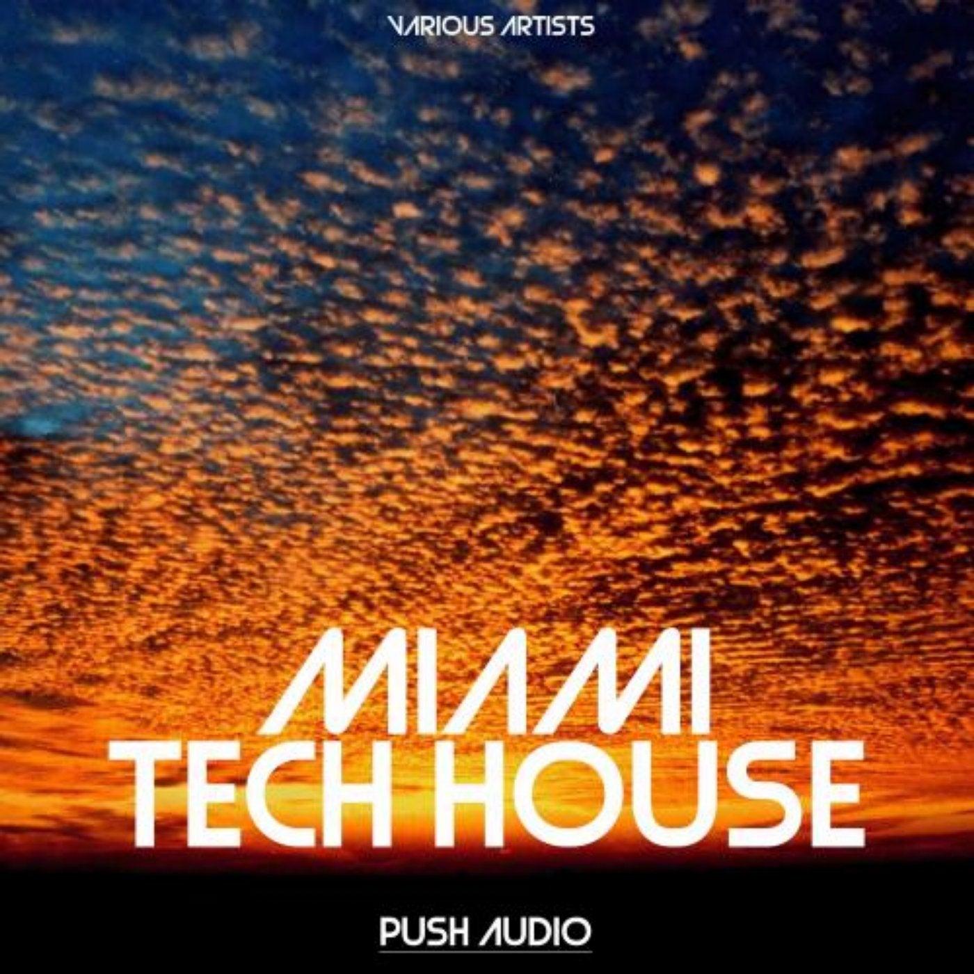 Miami Tech House
