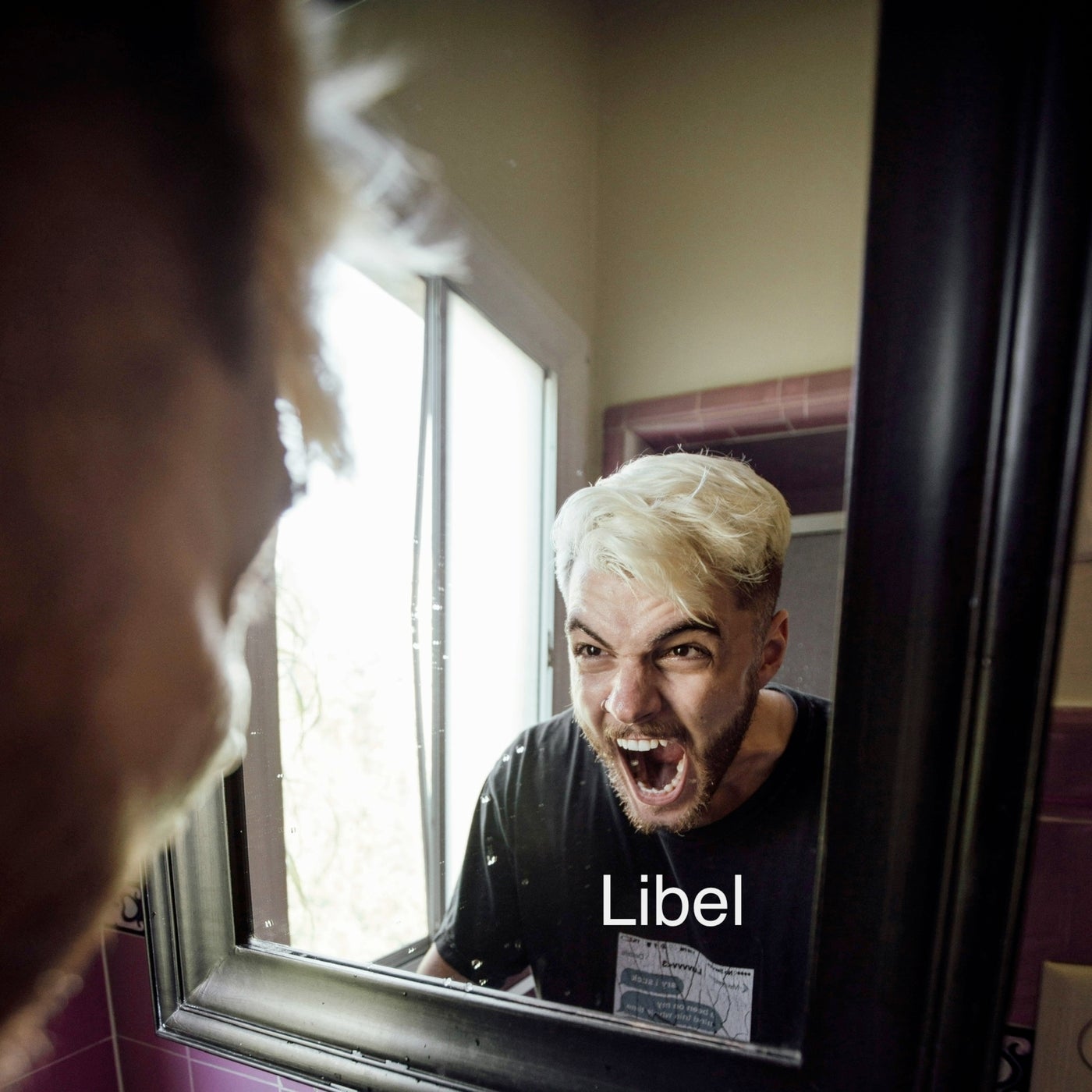 Libel