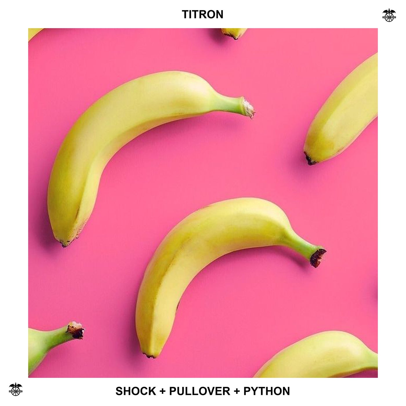Shock + Pullover + Python