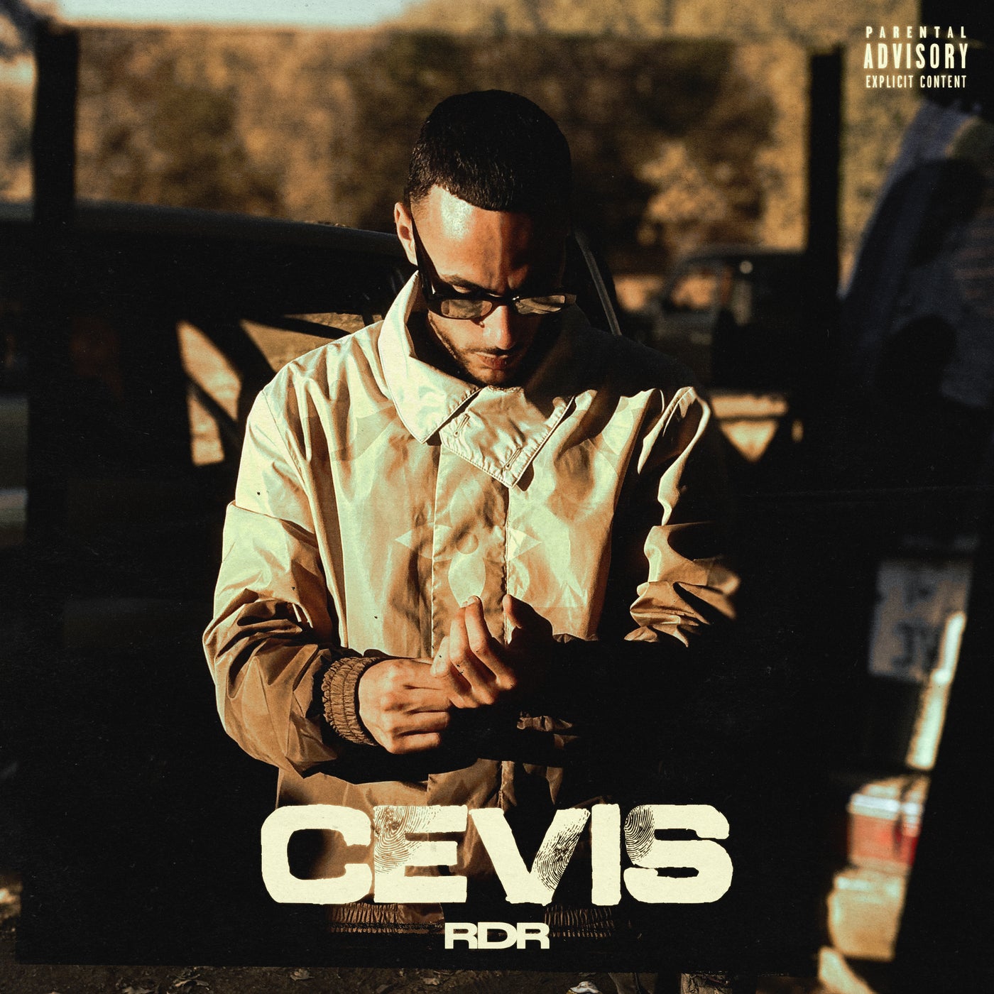 Cevis