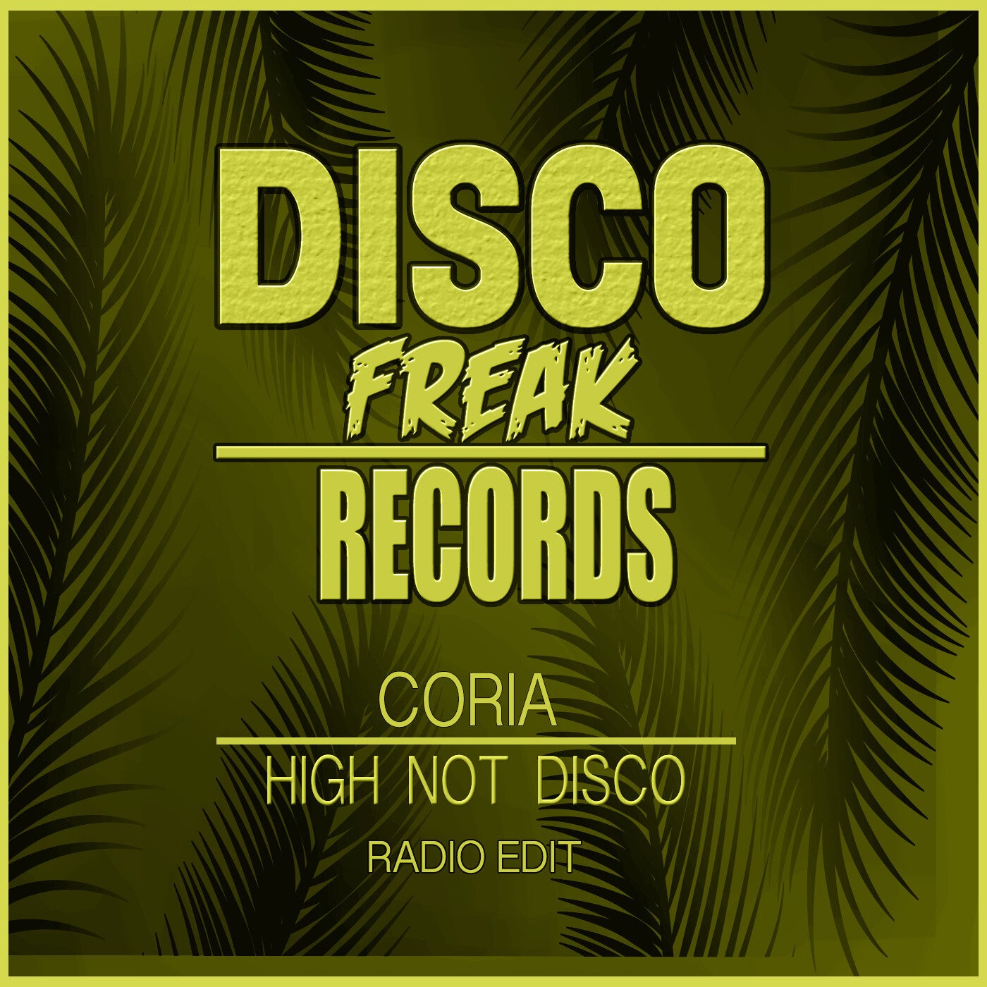 High Not Disco (The Radio Edit)