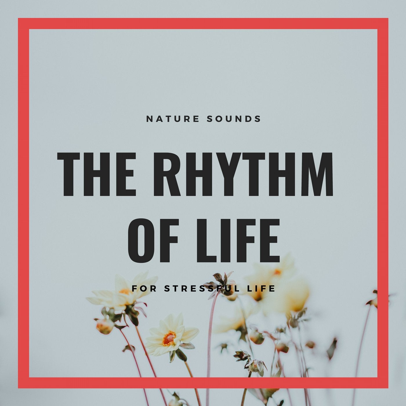 The Rhythm Of Life - Nature Sounds For Stressful Life