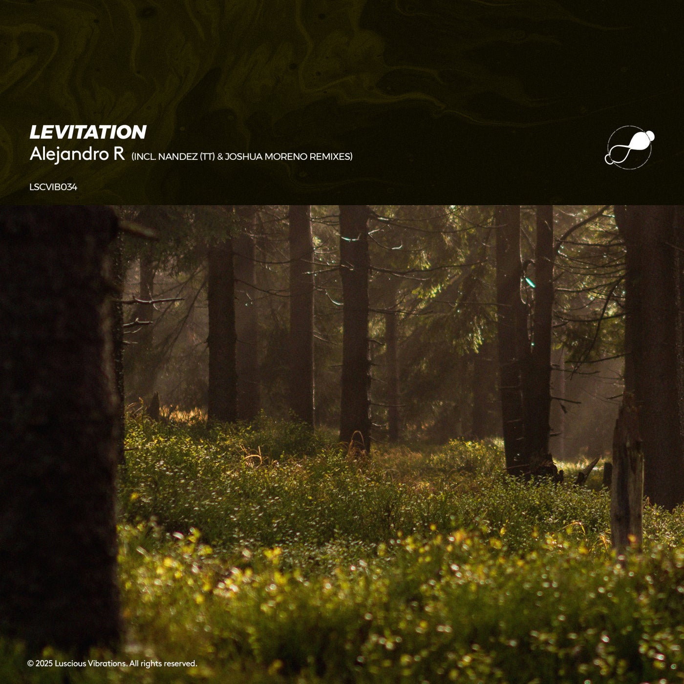 Levitation