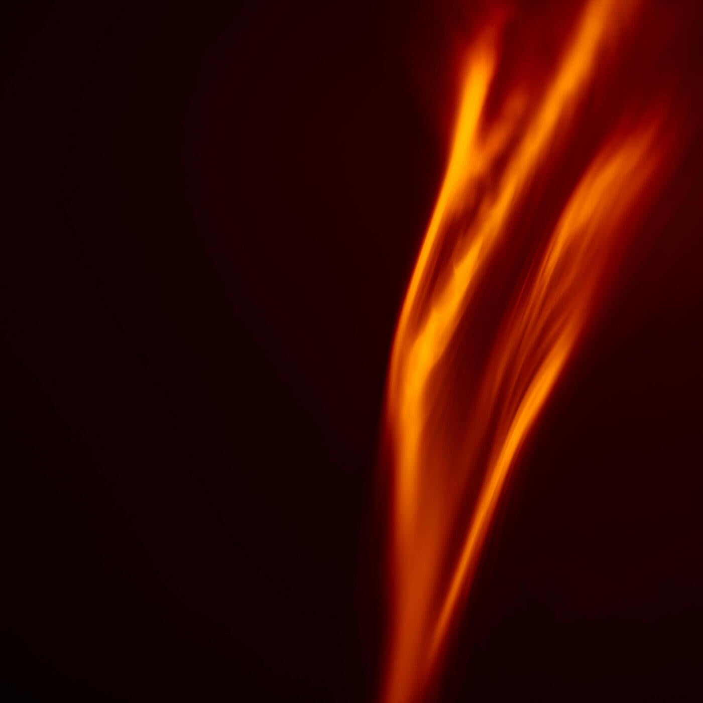 Metamorph
