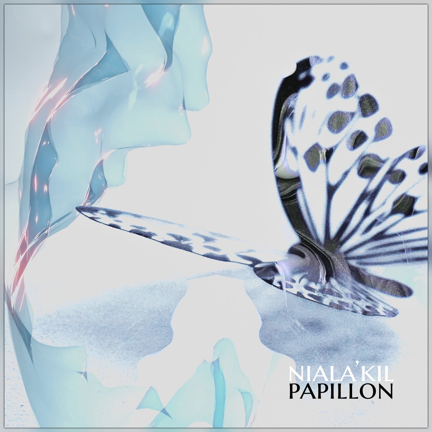 Papillon