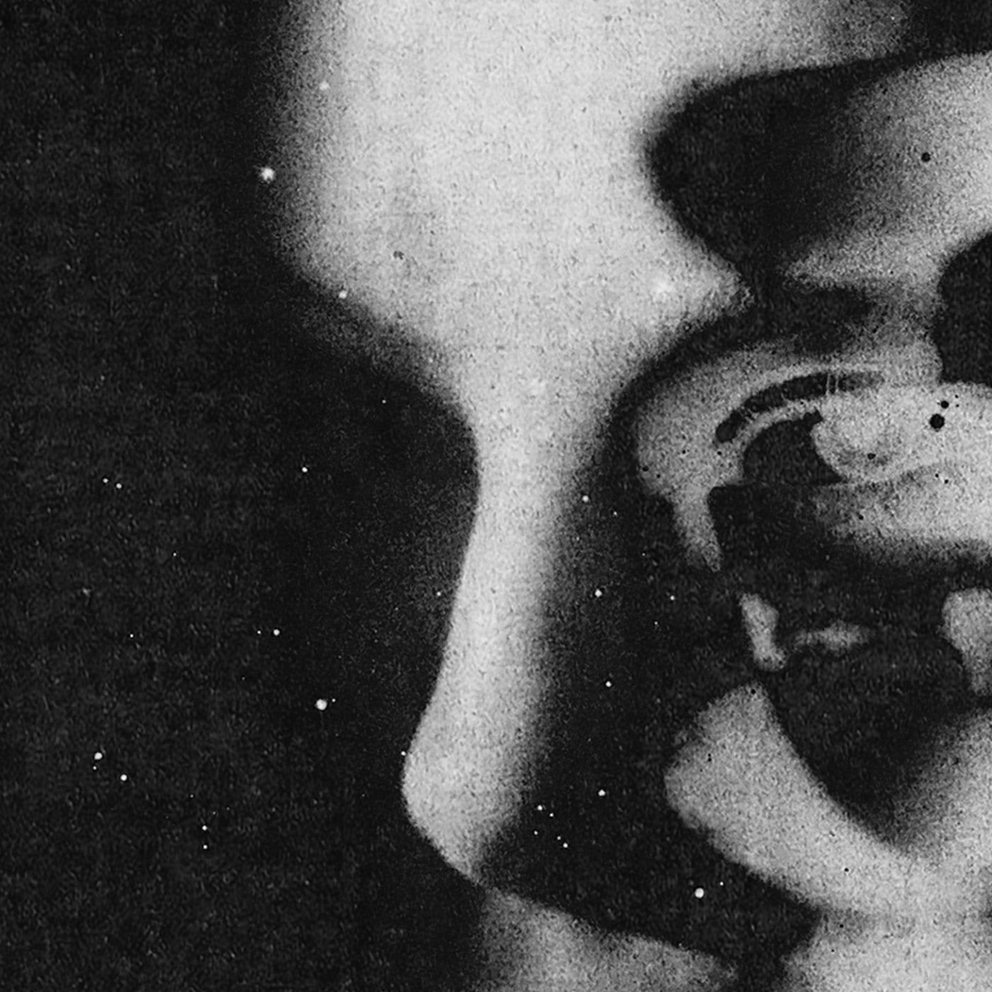 Stillness Between Breaths