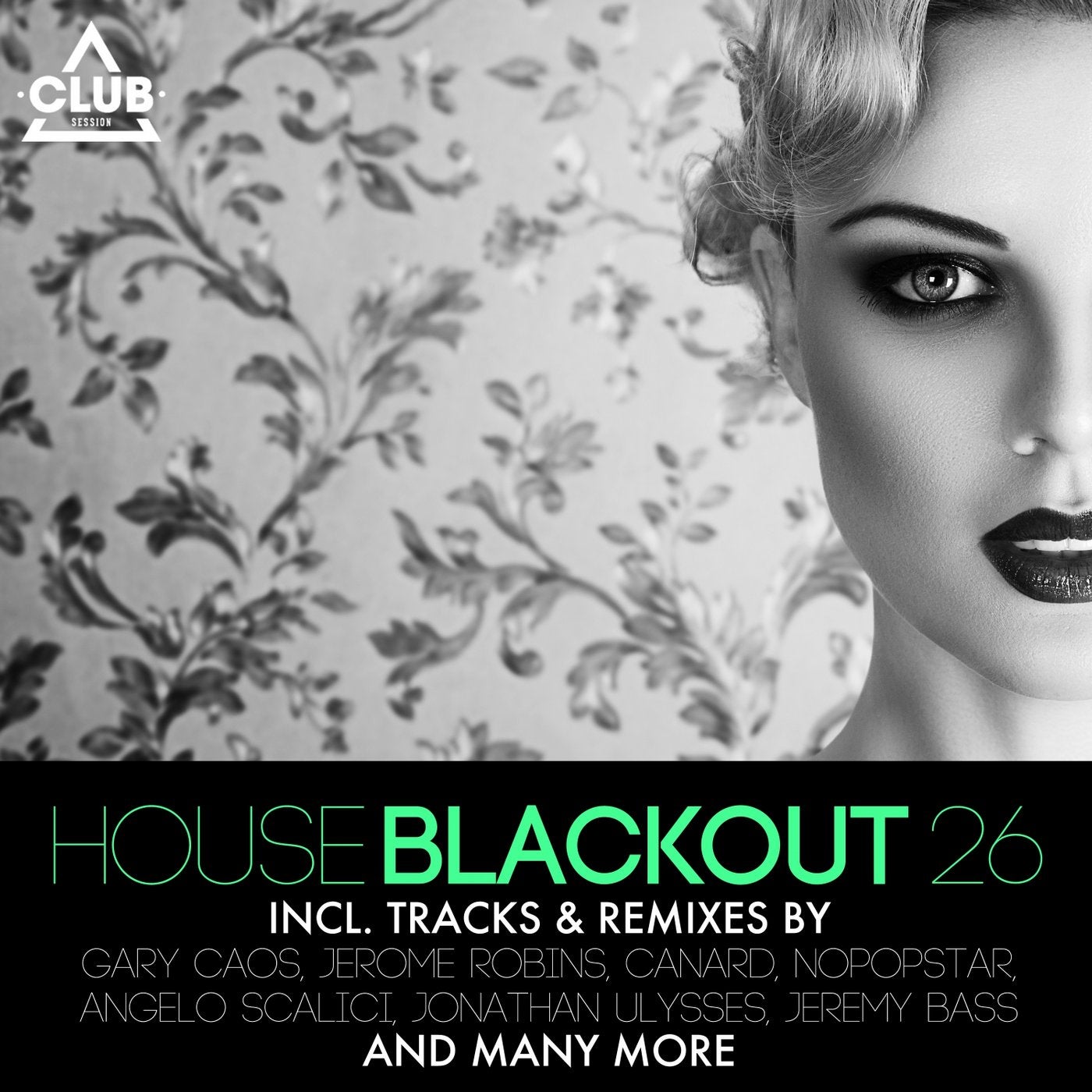 House Blackout Vol. 26