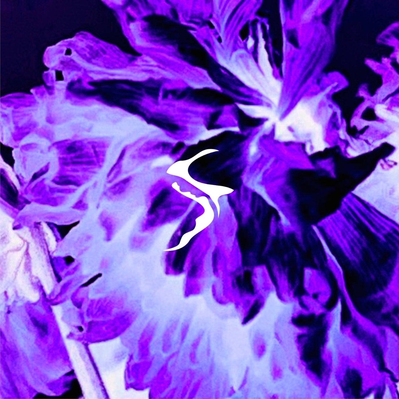 Lucid Dream