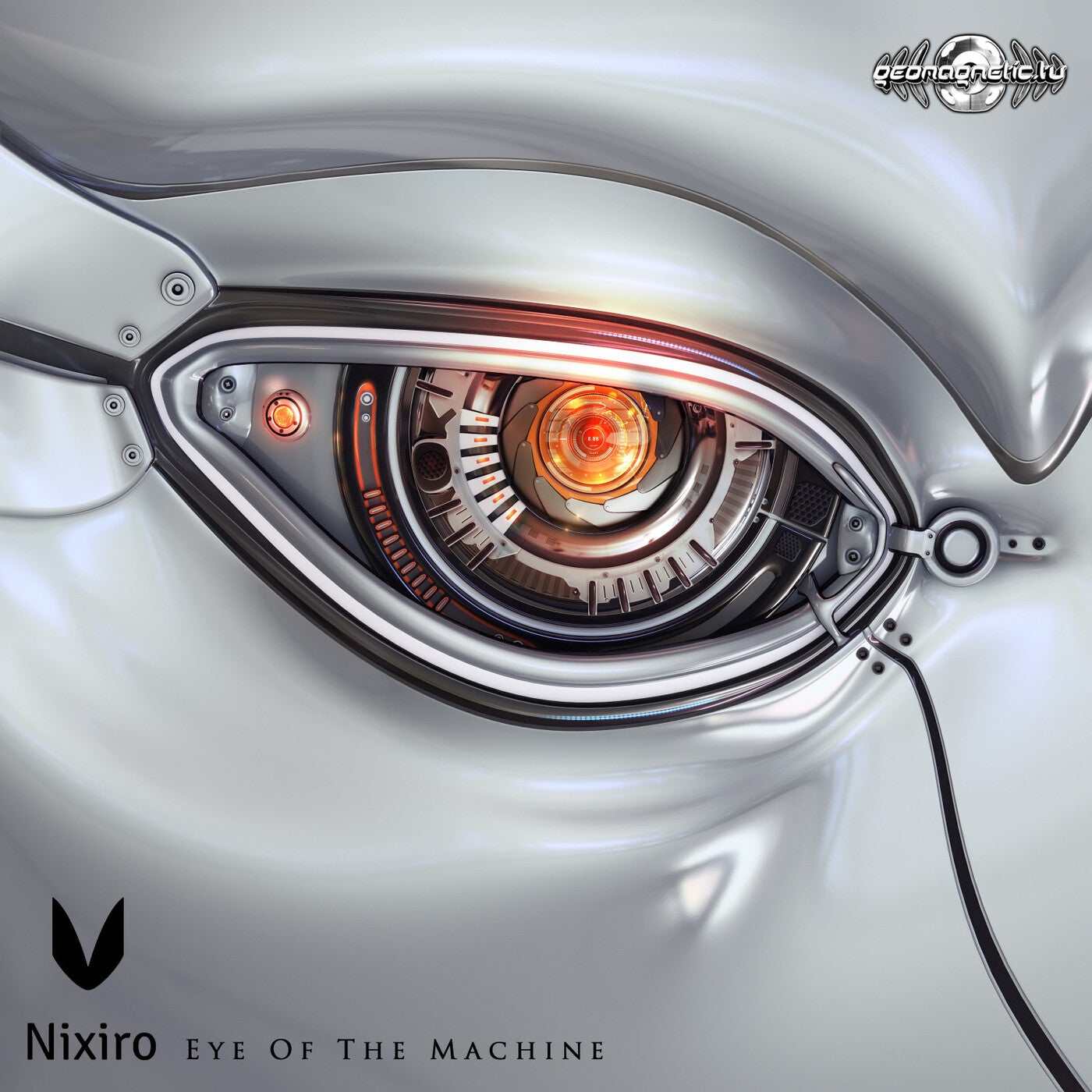 Eye of the Machine