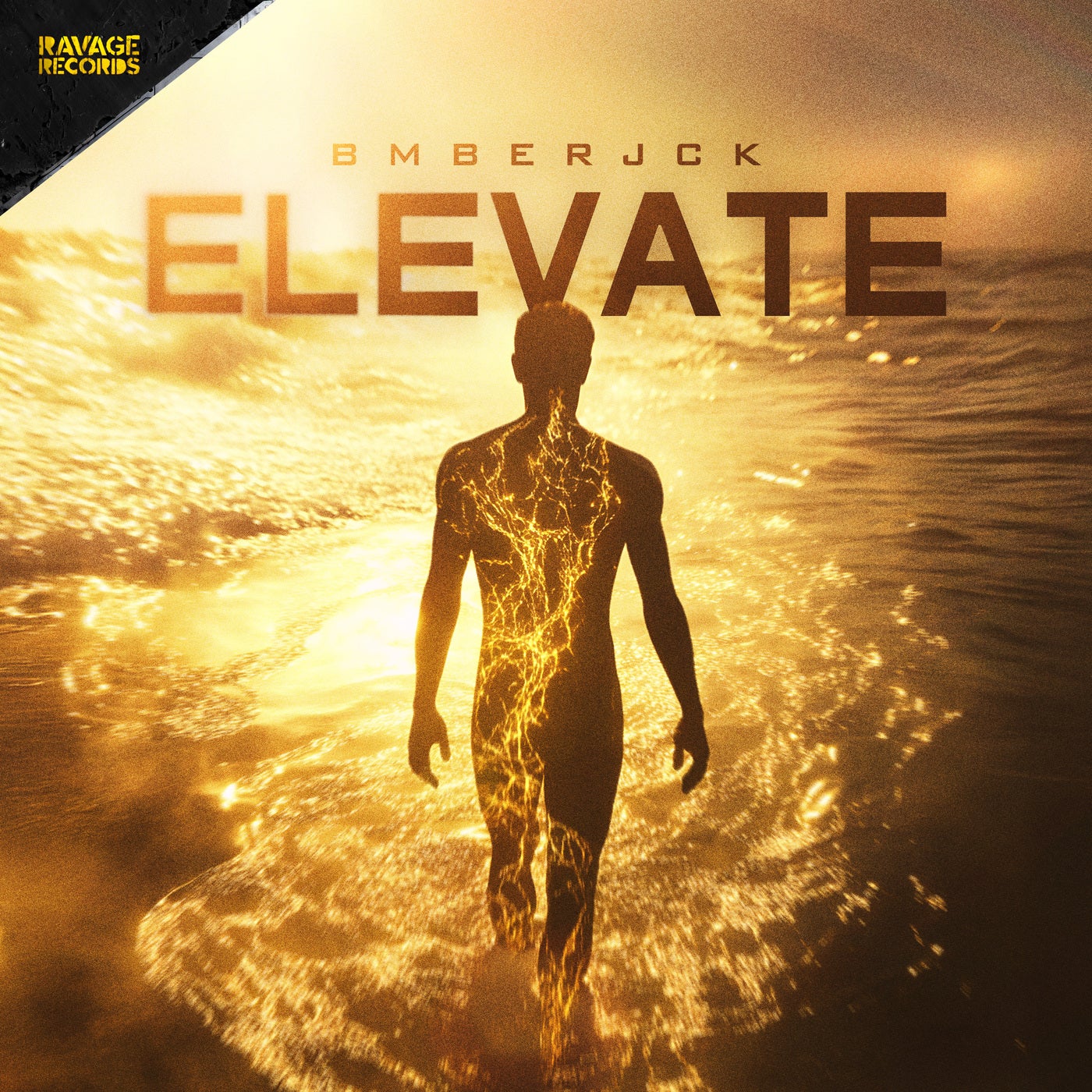 ELEVATE - Pro Mix
