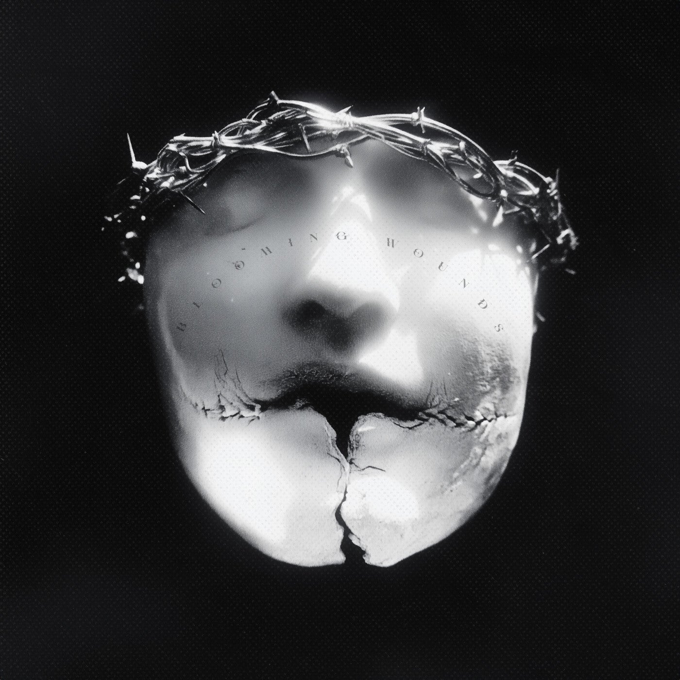 Cover art for BLOOMING WOUNDS