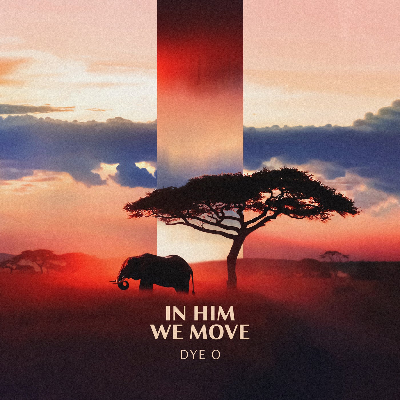 In Him We Move