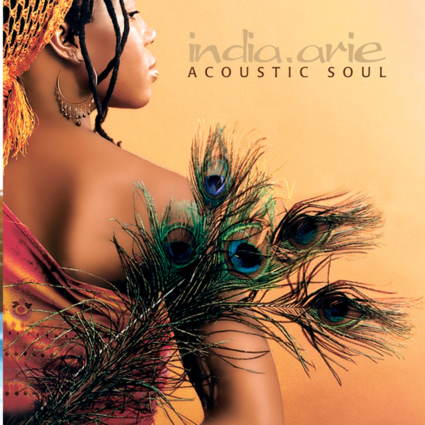 Cover art for Acoustic Soul