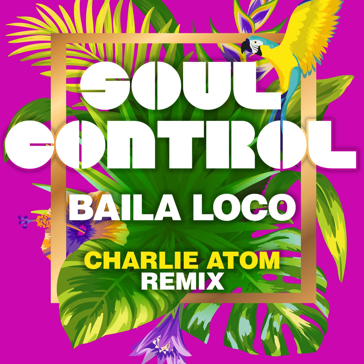 Baila Loco (Charlie Atom Remix)