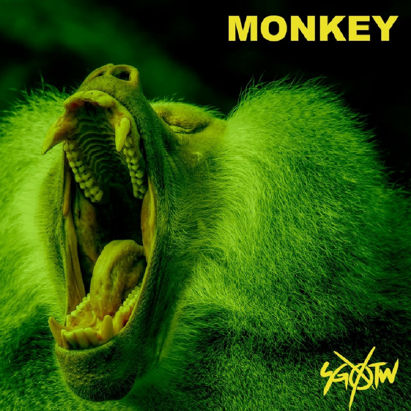 Monkey