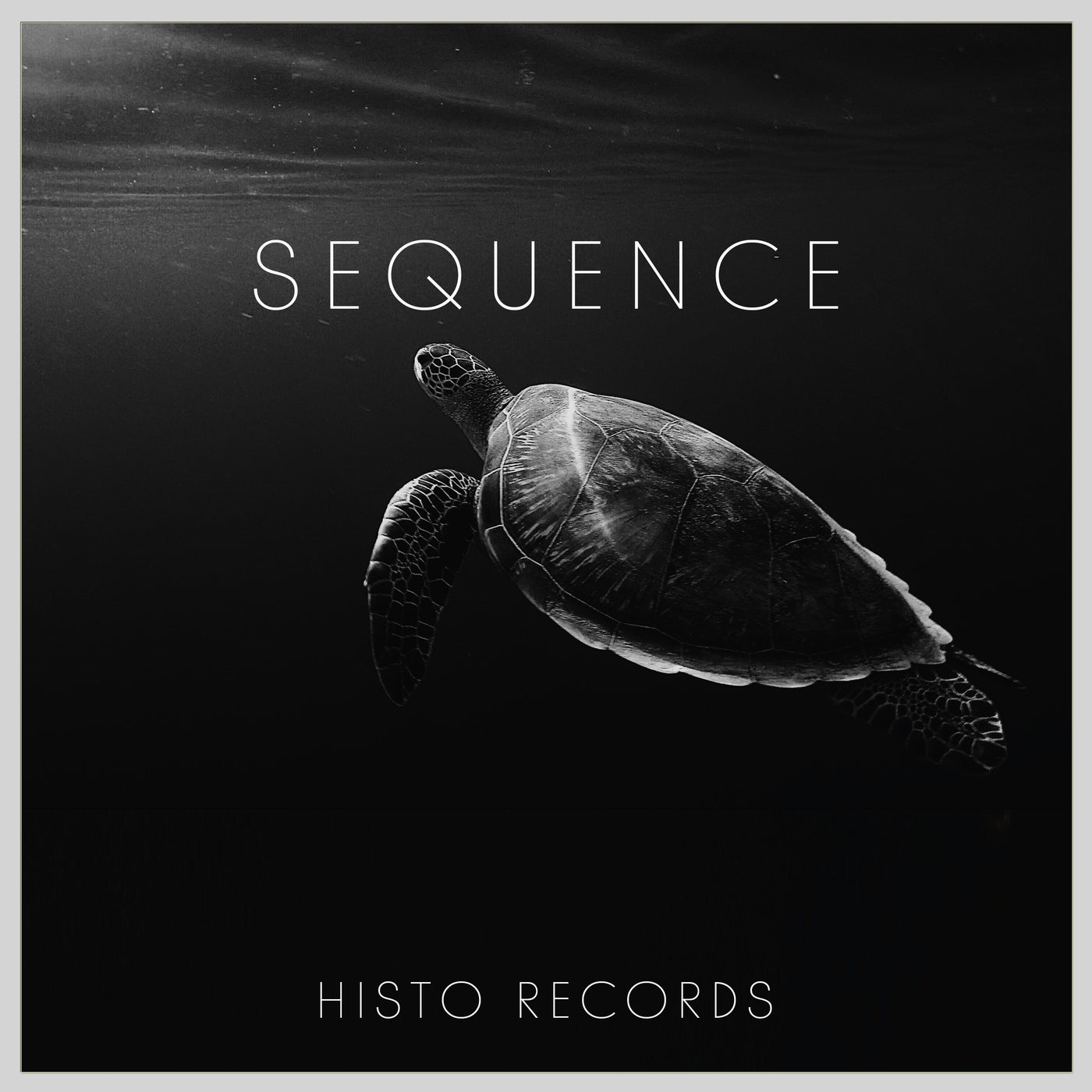 Sequence